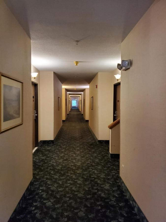 Bellis Inn Беллингхэм Экстерьер фото
